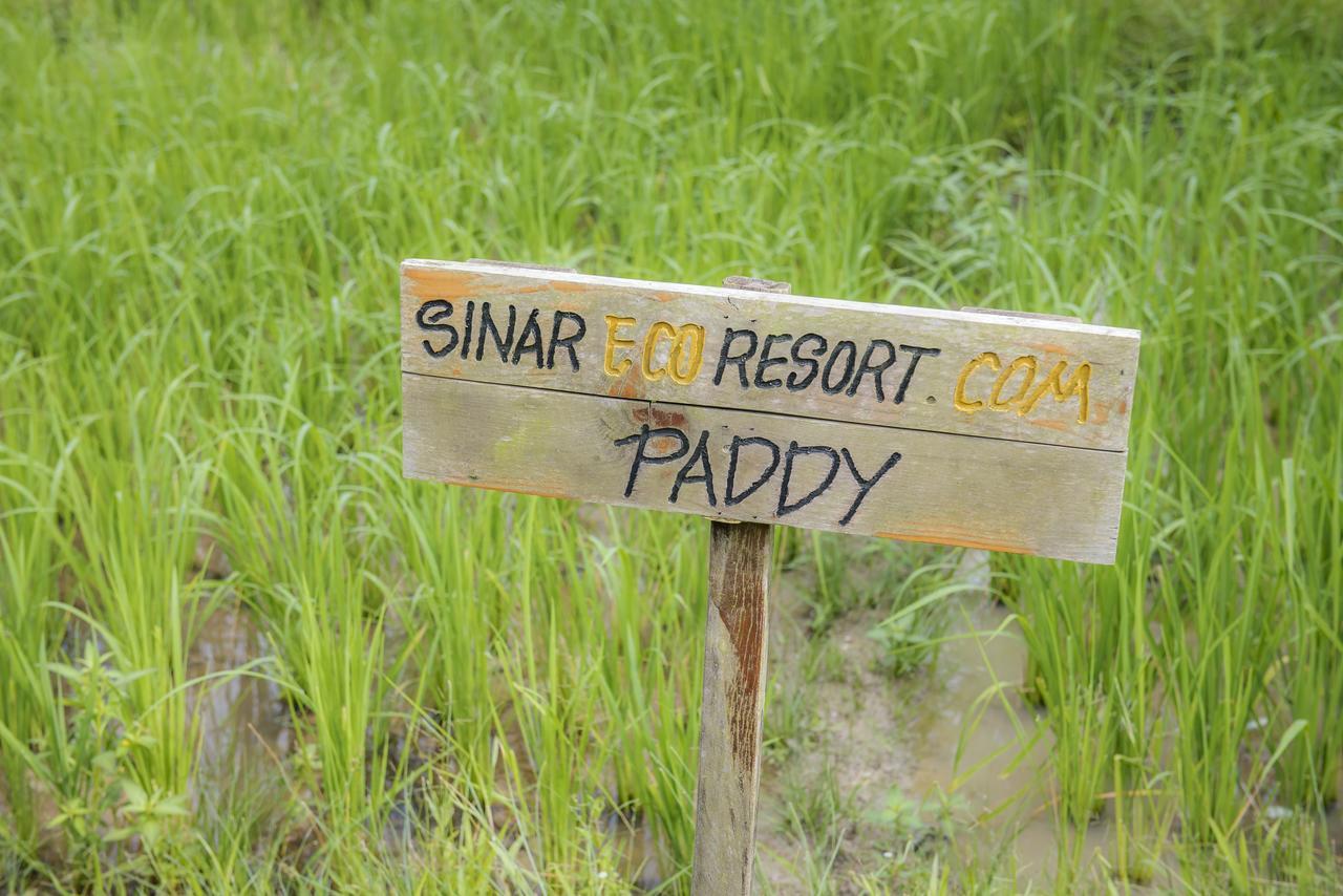 Sinar Eco Resort Kampong Bukit Panjang Экстерьер фото